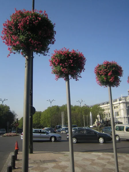 Madrid, İspanya - 12 Ağustos 2007: Merkezin üst kısmının klasik görünümü — Stok fotoğraf