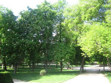 Madrid, İspanya - 12 Ağustos 2007: Merkezin üst kısmının klasik görünümü 