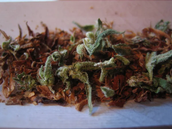 Cannabis Medical Marihuana Creta Griechenland Retro Hintergrund Matala 2006 Vintage — Stockfoto
