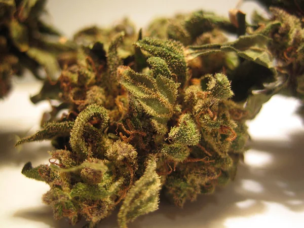 Esrar tıbbi marihuana creta Greek retro background matala 2006 vintage shoot