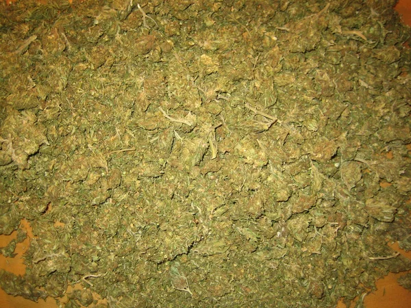 Cannabis Medical Marihuana Creta Griechenland Retro Hintergrund Matala 2006 Vintage — Stockfoto