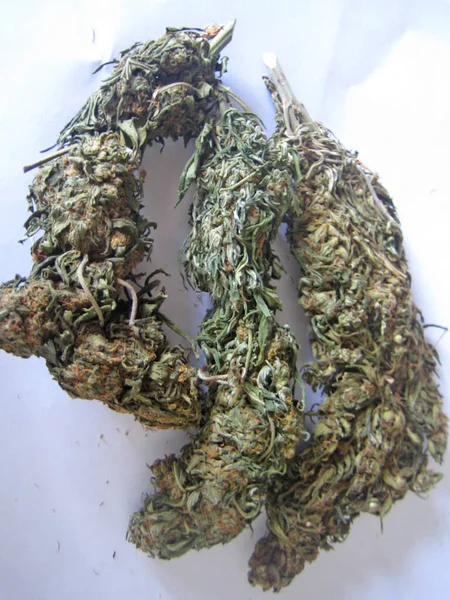 Cannabis Retro Ban Creta Sziget Hippi Szuper Citrom Köd Évjárat — Stock Fotó
