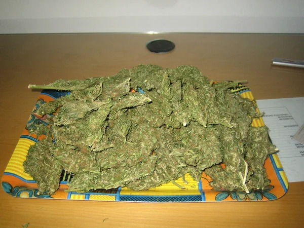 Cannabis Retro Kreta Island Hippie Super Lemon Dunst Vintage Illegale — Stockfoto