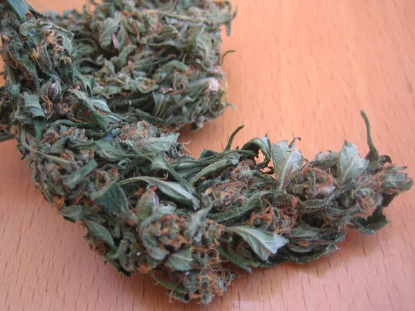 Cannabis Retro Creta Island Hippie Super Lemon Haze Vintage Illegal — Stock Photo, Image
