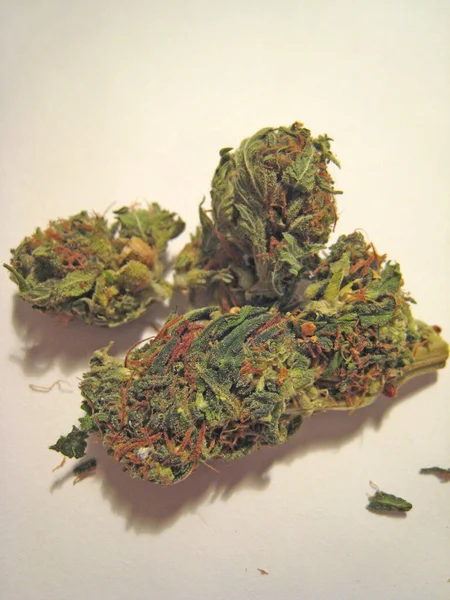 克里特岛嬉皮士超级柠檬薄雾复古非法背景指纹中的大麻 — 图库照片