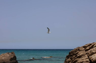 Yaz kserokampos plaj creta adası covid-19 tatil yüksek kaliteli baskı