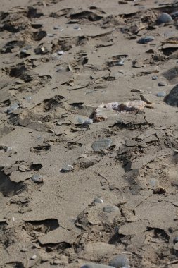 Kserokampos plaj taşları creta adası covid-19 bayramı 2020 yüksek kaliteli baskı