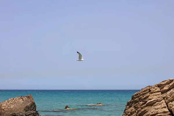 Summer Kserokampos Beach Creta Island Covid Holidays High Quality Print — Stock Photo, Image