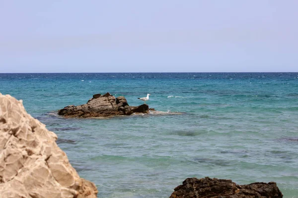 Summer Kserokampos Beach Creta Island Covid Holidays High Quality Print — Stock Photo, Image