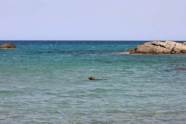 Summer Kserokampos Beach Creta Island Covid Holidays High Quality Print — Stock Photo, Image