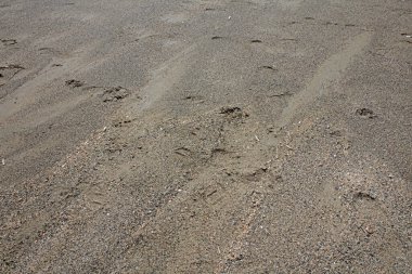 Frangokastello plaj çimento adası yaz 2020 covid-19 sezon arka plan yüksek kaliteli modern baskılar