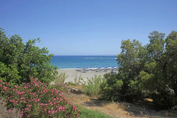 Frangokastello Spiaggia Crete Isola Estate 2020 Covid Stagione Sfondo Alta — Foto Stock