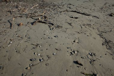 Plaj zeminli makro modern arka plan. Yaz mevsimi covid-19. Yüksek kaliteli baskı kreta adası.