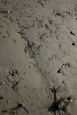 Plaj zeminli makro modern arka plan. Yaz mevsimi covid-19. Yüksek kaliteli baskı kreta adası.