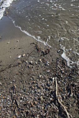 Plakias plaj creta adası yaz 2020 covid-19 sezon modern yüksek kaliteli baskı