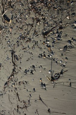 Plakias plaj creta adası yaz 2020 covid-19 sezon modern yüksek kaliteli baskı