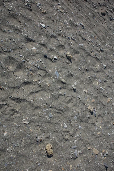 Plaża Ziemia Makro Nowoczesne Tło Lato Covid Sezon Wysokiej Jakości — Zdjęcie stockowe