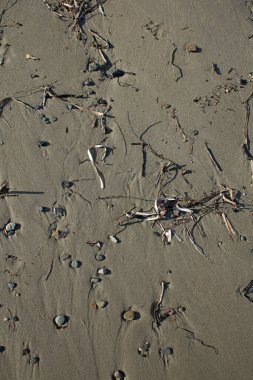 Sahil hayatı makro arka plan covid-19 Haziran sezonu creta adası Yunan yüksek kaliteli baskısı