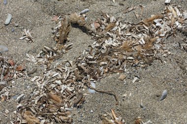 Sahil hayatı makro arka plan covid-19 Haziran sezonu creta adası Yunan yüksek kaliteli baskısı