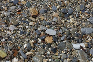 Sahil hayatı makro arka plan covid-19 Haziran sezonu creta adası Yunan yüksek kaliteli baskısı