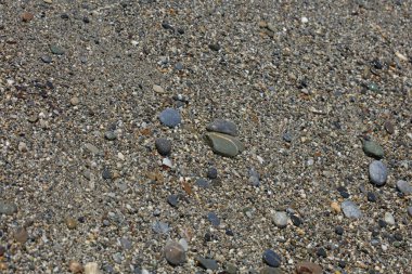 Sahil hayatı makro arka plan covid-19 Haziran sezonu creta adası Yunan yüksek kaliteli baskısı