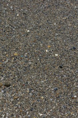 Sahil hayatı makro arka plan covid-19 Haziran sezonu creta adası Yunan yüksek kaliteli baskısı