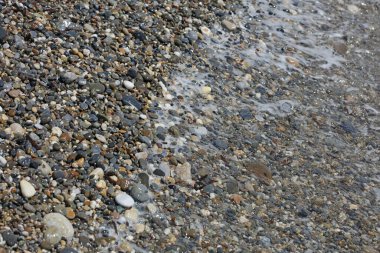 Sahil hayatı makro arka plan covid-19 Haziran sezonu creta adası Yunan yüksek kaliteli baskısı