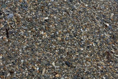 Sahil hayatı makro arka plan covid-19 Haziran sezonu creta adası Yunan yüksek kaliteli baskısı