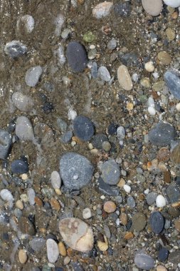 Sahil hayatı makro arka plan covid-19 Haziran sezonu creta adası Yunan yüksek kaliteli baskısı