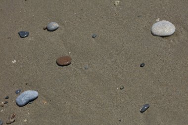 Sahil hayatı makro arka plan covid-19 Haziran sezonu creta adası Yunan yüksek kaliteli baskısı