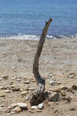 Peristeres plajı rodakino Girit Adası ücretsiz kamp alanı covid-19 sezon modern yüksek kaliteli baskı