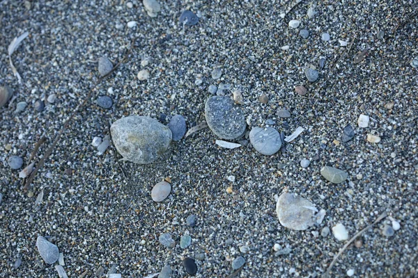 Vida Tierra Playa Macro Fondo Covid Junio Temporada Creta Isla — Foto de Stock