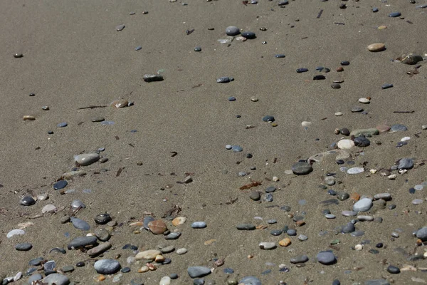 Plage Terre Vie Macro Fond Covide Juin Saison Creta Île — Photo