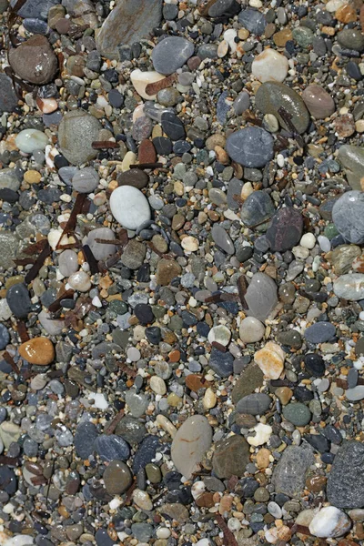 Vida Tierra Playa Macro Fondo Covid Junio Temporada Creta Isla — Foto de Stock