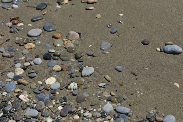 Beach Ground Life Macro Background Covid June Season Creta Island — Stock Photo, Image