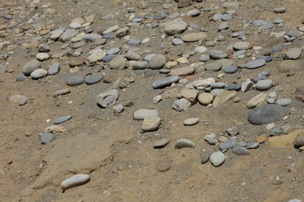 Plaża Ziemia Życie Makro Tło Covid Czerwiec Sezon Creta Wyspa — Zdjęcie stockowe