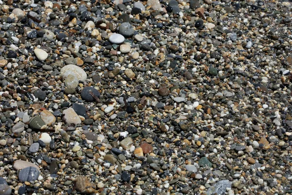 Plage Terre Vie Macro Fond Covide Juin Saison Creta Île — Photo