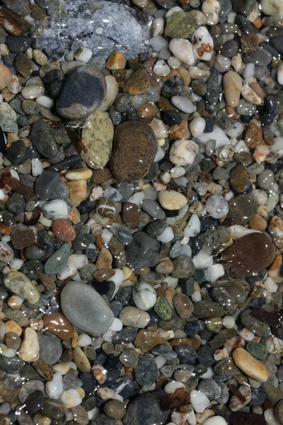 Strand Grund Leben Makro Hintergrund Covid Juni Saison Creta Insel — Stockfoto