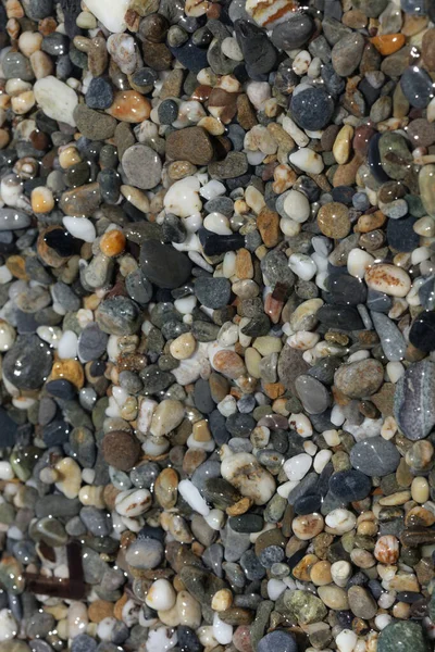 Strand Grund Leben Makro Hintergrund Covid Juni Saison Creta Insel — Stockfoto