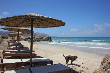 Mavi lagün falassarna plaj adası yaz 2020 covid-19 bayram modern yüksek kaliteli baskı