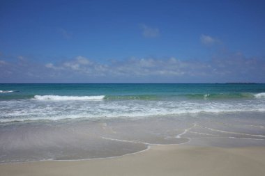 Mavi lagün falassarna plaj adası yaz 2020 covid-19 bayram modern yüksek kaliteli baskı