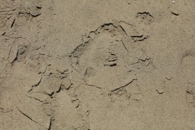 Kırmızı kum plajı makro arka plan creta adası Falassarna yaz tatili 2020 covid-19 sezonu modern yüksek kaliteli baskı