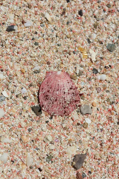 Playa Arena Roja Macro Fondo Creta Isla Falassarna Vacaciones Verano —  Fotos de Stock