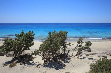 Kerdodasos plajı çimento özel mavi lagün cennet kırmızı kumsal yaz 2020 covid-19 tatil modern yüksek kaliteli baskılar