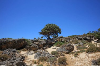 Kerdodasos plajı çimento özel mavi lagün cennet kırmızı kumsal yaz 2020 covid-19 tatil modern yüksek kaliteli baskılar