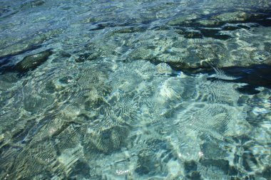 Kedrodasos plajı özel cenneti. Mavi gölcüksüz kamp alanı. Kristal suları ve mercanları olan kayalık kıyılar.