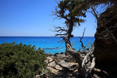Kedrodasos plajı özel cenneti. Mavi gölcüksüz kamp alanı. Kristal suları ve mercanları olan kayalık kıyılar.