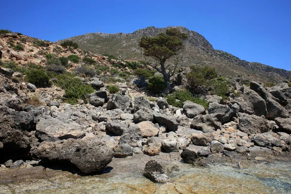 Kedrodasos Beach Private Paradise Blue Lagoon Free Camping Area Rocky — Stock Photo, Image