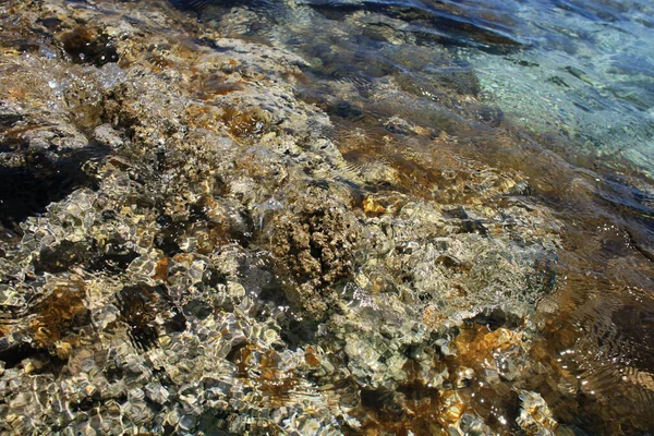 Kedrodasosビーチプライベートパラダイスブルーラグーン無料キャンプ場クリスタル水とサンゴと岩の海岸Covid 19シーズン印刷 — ストック写真
