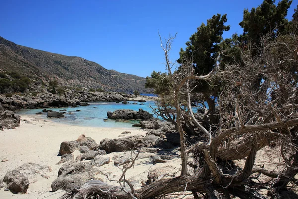 Kedrodasos Beach Private Paradise Blue Lagoon Free Camping Area Rocky — Stock Photo, Image